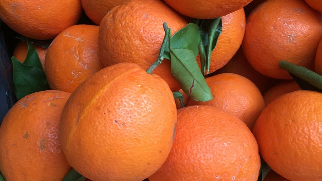 oranges-fruit-moist-healthy
