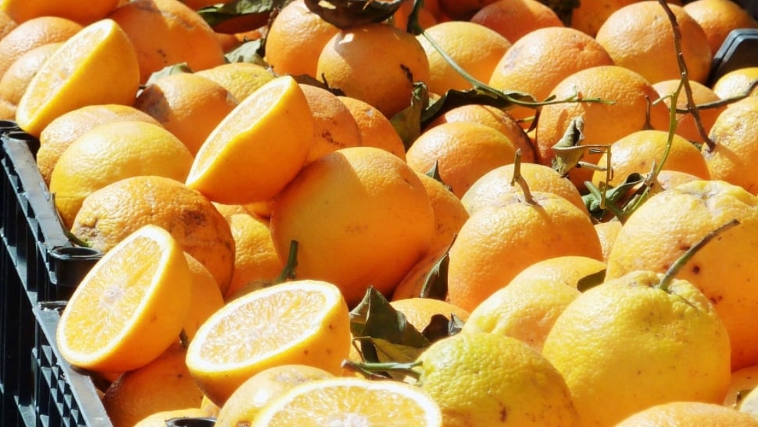 citrus-citrus-fruits-lemon-vitamin-c-wallpaper-preview